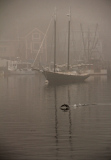 Foggy Morning at Smith's Cove