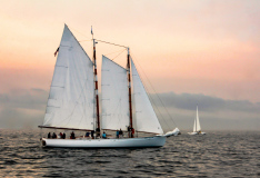 2013 Schooner Festival